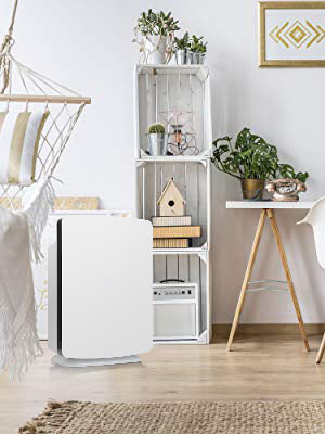 BreatheSmart P1000 H13 Medical Grade TRUE HEPA Air Purifier