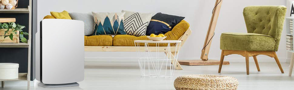 BreatheSmart P1000 H13 Medical Grade TRUE HEPA Air Purifier