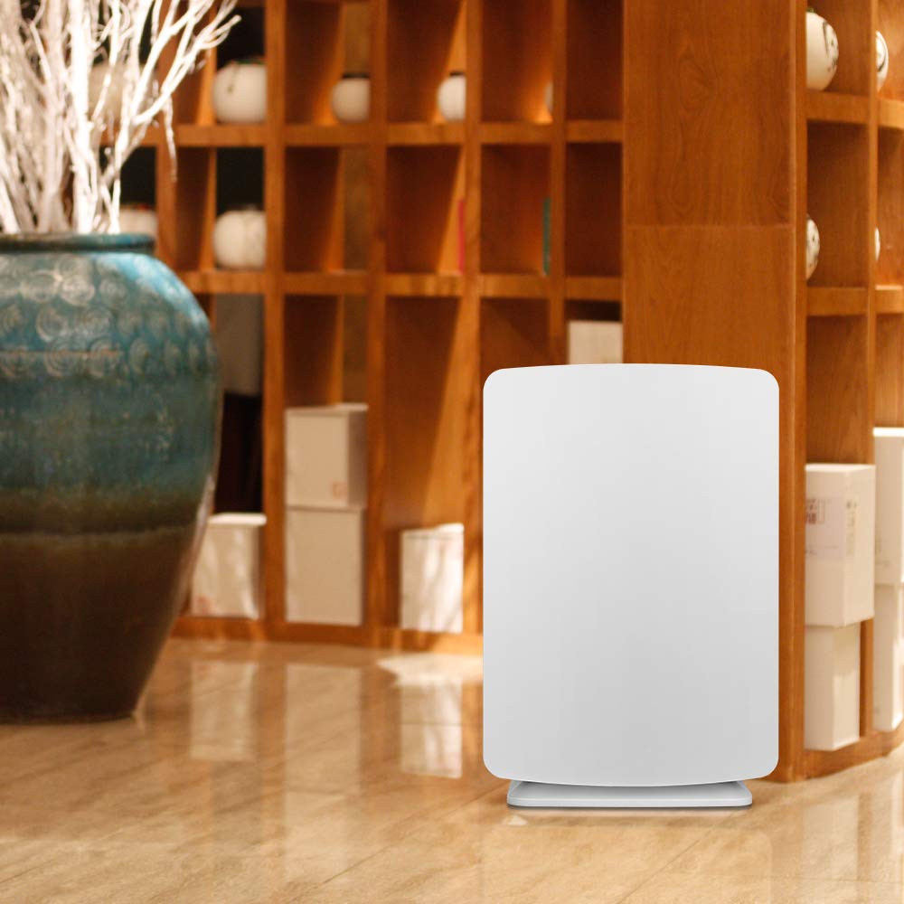 BreatheSmart P1000 H13 Medical Grade TRUE HEPA Air Purifier