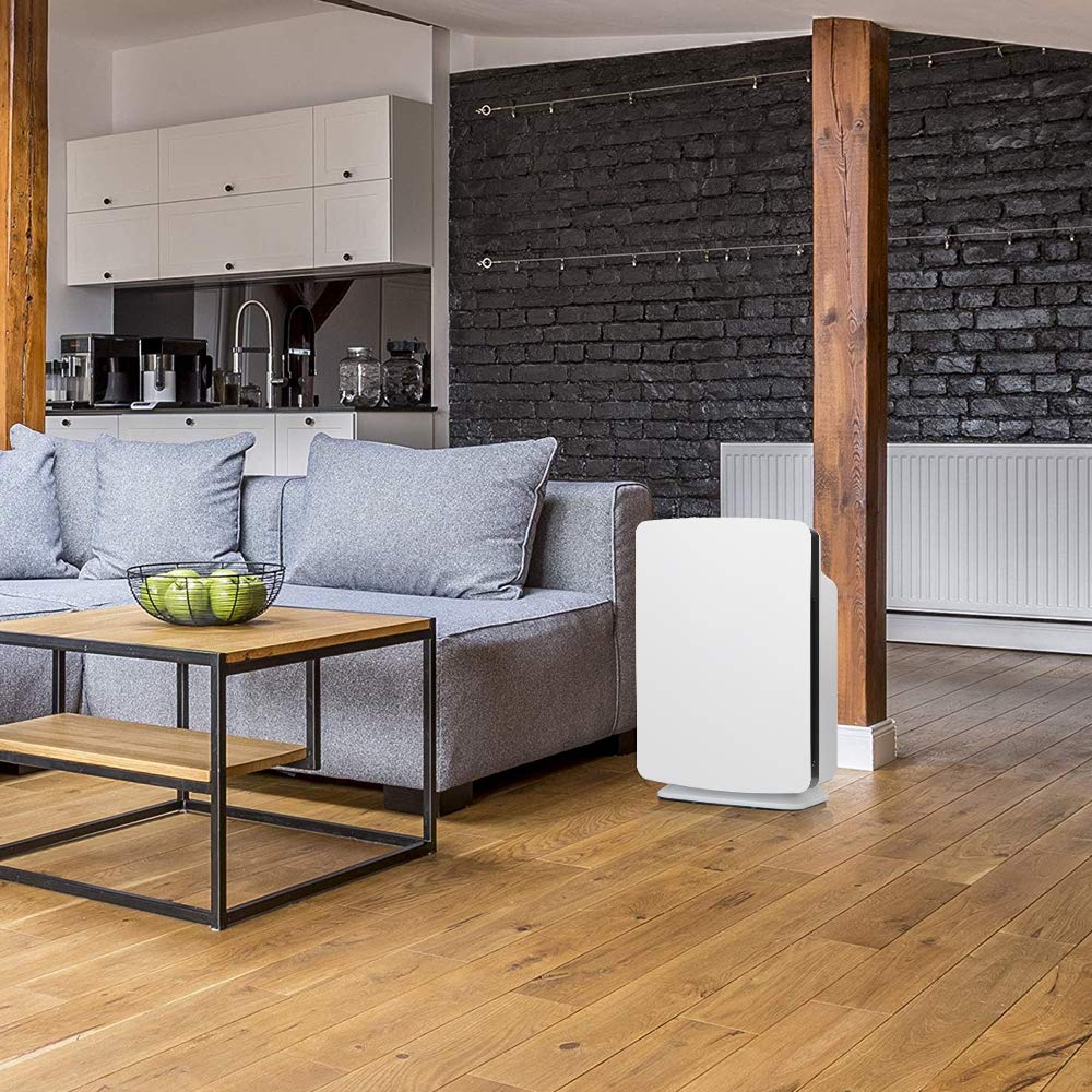 BreatheSmart P1000 H13 Medical Grade TRUE HEPA Air Purifier