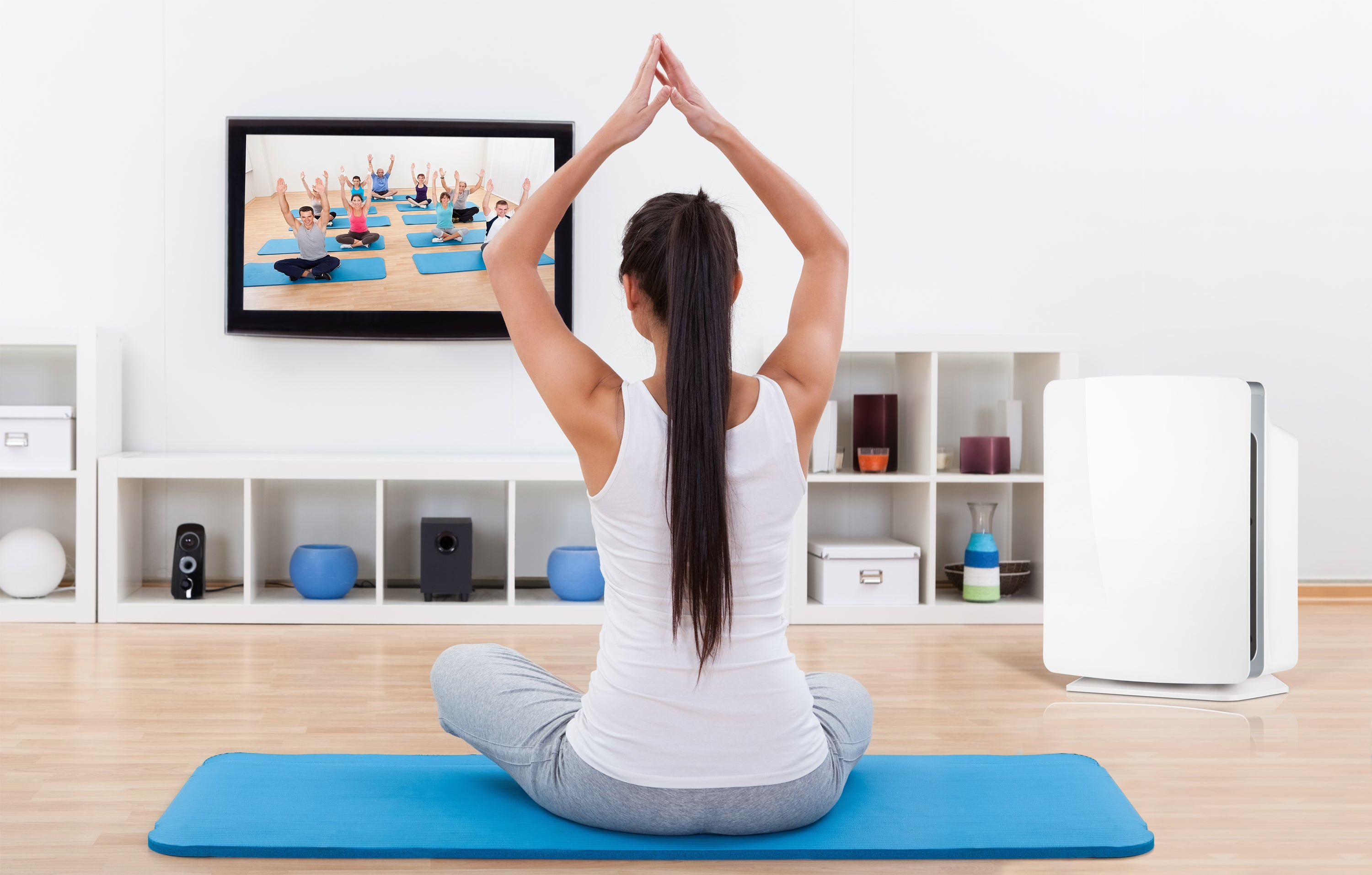 BreatheSmart P1000 H13 Medical Grade TRUE HEPA Air Purifier